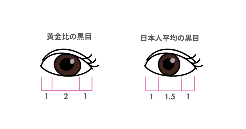 黒目の黄金比率と日本人の黒目平均比率,画像